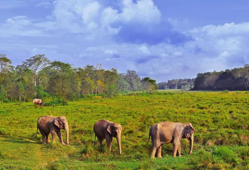 CHITWAN-NATIONAL-PARK