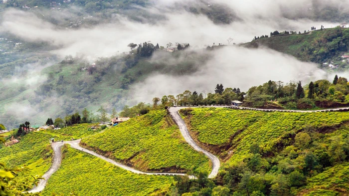 darjeeling featured image